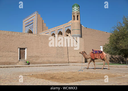 Ein Kamel, für Fahrten für Touristen, der Altstadt von Chiwa in Usbekistan. Stockfoto