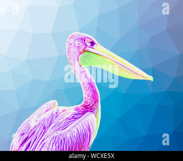 Bunte Pelikan Vogel Illustration - surreale Kunst Stockfoto