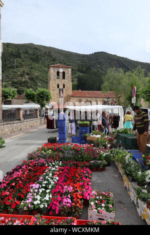 Wochenmarkt vor der Iglesia de San Vicente, San Sebastián, Kantabrien, Spanien Stockfoto