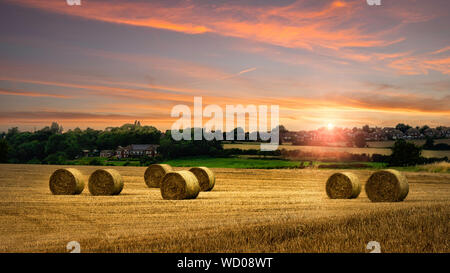 Strohballen in der Landschaft Stockfoto