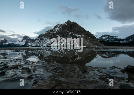 Reflexion der Bow Lake Kanada Stockfoto