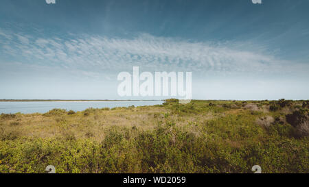 New Smyrna Dunes Park. Ein Park, bestehend aus Sanddünen, scheuern und die verschiedenen Ökosysteme. Stockfoto