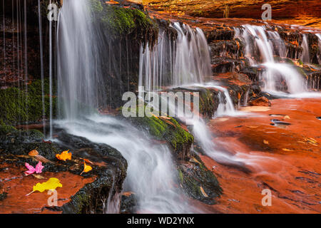 Bei der Gabelung links North Creek Kaskaden am Erzengel fällt auf die Wanderung zu den U-Bahn, Zion National Park, Utah Stockfoto