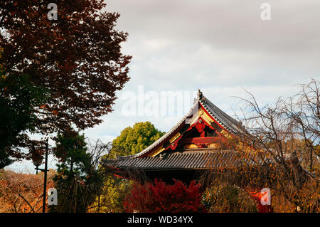 29.November 2018 Tokio, Japan - Alte hölzerne Rote Gebäude der Kiyomizu Kannon - Schrein mit schönen Holz Fassade unter den bunten Herbst Bäume im Ueno Park Stockfoto