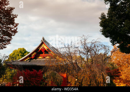 29.November 2018 Tokio, Japan - Alte hölzerne Rote Gebäude der Kiyomizu Kannon - Schrein mit schönen Holz Fassade unter den bunten Herbst Bäume im Ueno Park Stockfoto