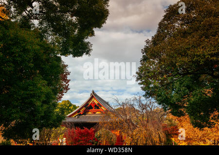 29.November 2018 Tokio, Japan - Alte hölzerne Rote Gebäude der Kiyomizu Kannon - Schrein mit schönen Holz Fassade unter den bunten Herbst Bäume im Ueno Park Stockfoto