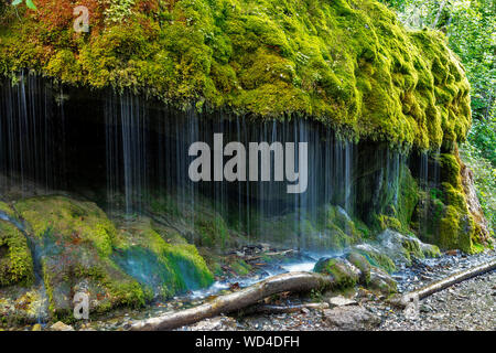 Moos Wasserfall Wutachschlucht Schlucht, Schwarzwald, Baden-Württemberg, Deutschland, Stockfoto