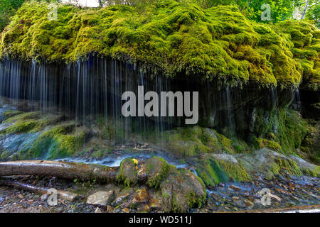 Moos Wasserfall Wutachschlucht Schlucht, Schwarzwald, Baden-Württemberg, Deutschland, Stockfoto