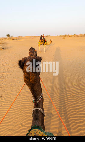 Die Aussicht während der Fahrt ein Kamel in der Wüste Thar und Umgang mit anderen Mitreisenden im östlichen Rajasthan, Indien. Stockfoto