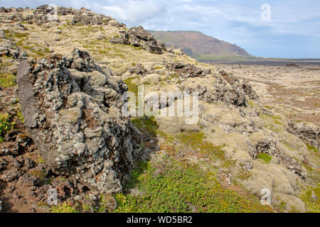 Berserker (lavafeld Berserkjahraun) auf der Halbinsel Snaefellsnes Stockfoto