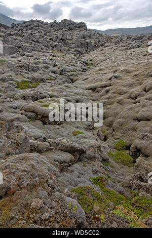 Berserker (lavafeld Berserkjahraun) auf der Halbinsel Snaefellsnes Stockfoto