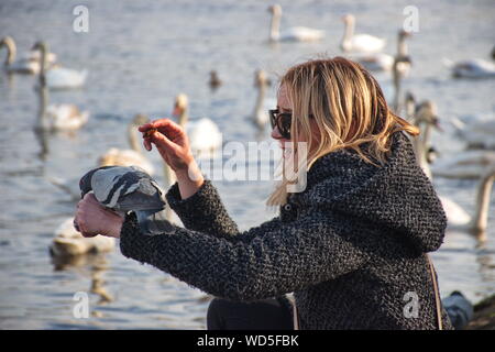 Junge wird 0 Mann Fütterung Taube auf ihre Hand, mit Schwänen auf der Moldau im Hintergrund Stockfoto