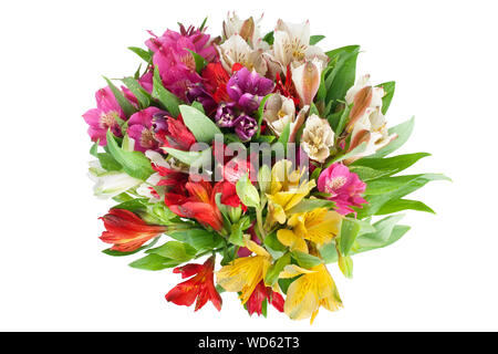 Mehrfarbige alstroemeria Blumen, Blumenstrauß auf weißem Hintergrund closeup, Lily Blütentrauben für Holiday Poster dekorative Element isoliert Stockfoto