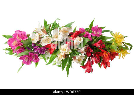 Mehrfarbige alstroemeria Blumen auf weißem Hintergrund closeup, Lily blumen strauß für dekorative Grenze, Urlaub poster Design Element Stockfoto