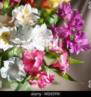 Weiße, Rosa und Lila Lilie Blumen auf unscharfen Hintergrund, Soft Focus Lilien Blumenarrangements, schöner Urlaub künstlerische floralen Bild Stockfoto