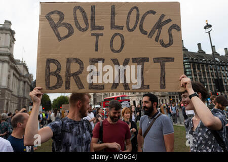 (190829) - Peking, Aug 29, 2019 (Xinhua) - Demonstranten nehmen teil an einer Demonstration vor dem Parlament in London, Großbritannien, am 12.08.28., 2019. Queen Elizabeth verkündete Mittwoch sie ihre Zustimmung zum Antrag von Premierminister Boris Johnson das britische Parlament auszusetzen gegeben hat. Das bedeutet, dass die "House of Commons" nur für ein paar Tage werden sitzen, nachdem es am nächsten Dienstag zurück aus der Sommerpause. Das Parlament wird dann mit einer Öffnung des Parlaments fortsetzen, indem der britische Monarch am 11.10.14, knapp zwei Wochen vor der geplanten Abreise aus der Europäischen Union (EU). (P Stockfoto