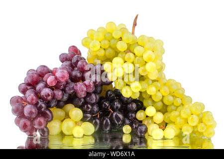 Trauben, schwarze, rote und weiße Trauben auf einem weißen Hintergrund im Tropfen Wasser isoliert Nahaufnahme Stockfoto