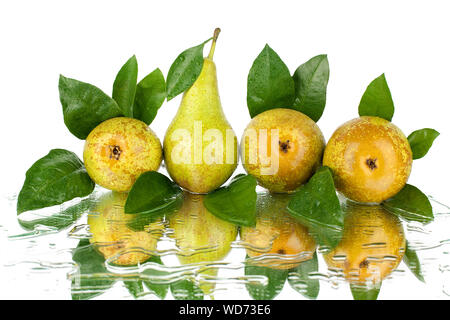 Birnen mit grünen Blättern auf weißen Hintergrund mit Wassertropfen und Reflexion isoliert Nahaufnahme Stockfoto