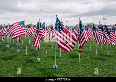 Schönes grünes Feld mit Reihen von amerikanischen Fahnen in ihm Unter einem bewölkten Himmel Stockfoto