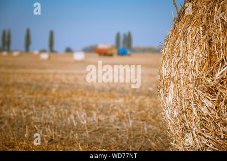 Kaution Heu ernten in der wundervollen Herbst Bauern feld landschaft mit Heu Stacks Stockfoto