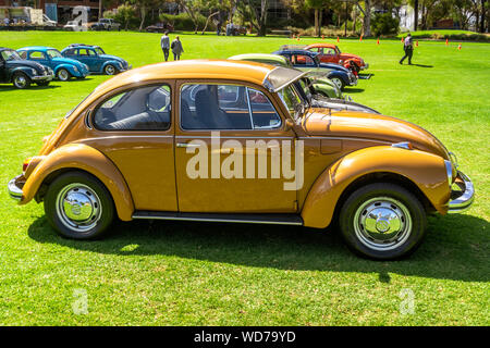 Zeigen alten Volkswagen Auto von Adelaide, SA, Australien Stockfoto