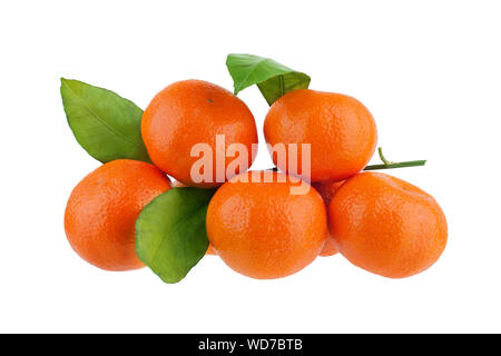 Orange Mandarinen oder Mandarinen mit grünen Blättern auf weißem Hintergrund Nahaufnahme Stockfoto