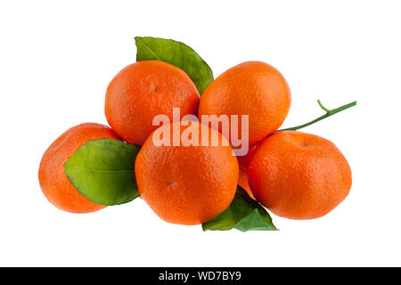 Orange Mandarinen oder Mandarinen mit grünen Blättern auf weißem Hintergrund Nahaufnahme Stockfoto