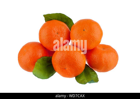 Orange Mandarinen oder Mandarinen mit grünen Blättern auf weißem Hintergrund Nahaufnahme Stockfoto