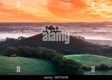 Colmers Hill, Bridport, Dorset, Großbritannien. 29. August 2019. UK Wetter. Am frühen Morgen Nebel über die Felder hinter Colmers Hill in der Nähe von Bridport in Dorset bei Sonnenaufgang. Foto: Graham Jagd-/Alamy leben Nachrichten Stockfoto