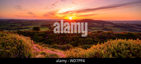 Pilsdon, Bridport, Dorset, Großbritannien. August 2019. UK Wetter: Glorreicher Sonnenaufgang über der Landschaft von West Dorset. Der Himmel leuchtet orange über der schönen Landschaft des Marshwood Vale. Kredit: PQ/Alamy Live News. Stockfoto