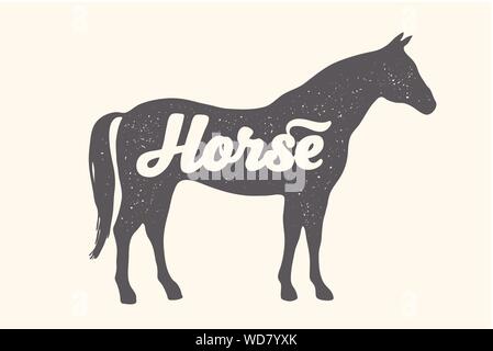 Pferd, Hengst, Schriftzug. Design von Nutztieren - Pferd Stock Vektor