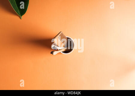 Null Abfall Schönheit Konzept auf orangem Hintergrund. Holz- Kamm, Zahnbürsten, Bambus Bambus Knospen in einem keramischen Glas Stockfoto