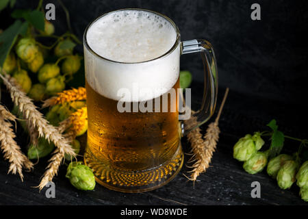 Tasse helles Bier auf einem dunklen Hintergrund mit grünen Hopfen und Ähren Kopie Raum Stockfoto