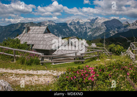 VELIKA PLANINA, Slowenien - 16. JULI 2019: Sommer Blick von Velika Planina ländlichen Dorf mit wilden Blumen in Slowenien Stockfoto