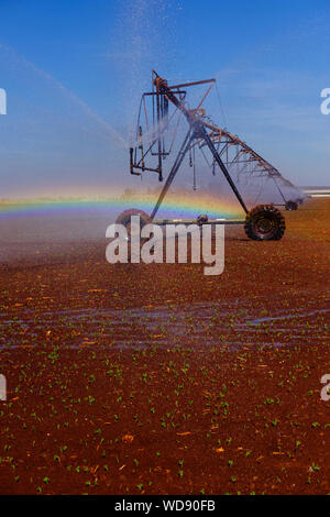 Pivot sprühen Wasser auf dem Land Stockfoto
