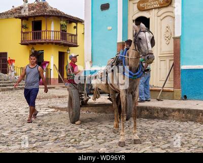 TRINIDAD, Kuba - May 05, 2013: ein braunes dünnes Pferd mit einer Beförderung auf einem Kopfsteinpflaster in der Nähe von Menschen und Häuser Stockfoto