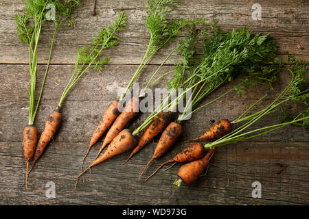 Frische Karotten mit Grüns auf alten hölzernen Planken Stockfoto