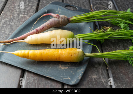 Frisch und farbigen Karotten liegen auf einem Schneidebrett auf einem Tisch Stockfoto