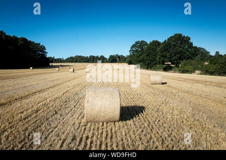 Die Zeit der Ernte runde Heuballen auf einem Hampshire Feld Stockfoto