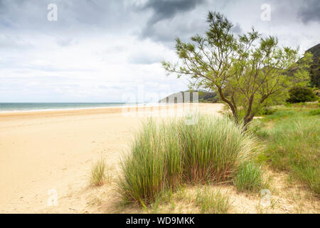 Trengandin Beach in der Nähe von Dorf Noja, Kantabrien, Spanien Stockfoto