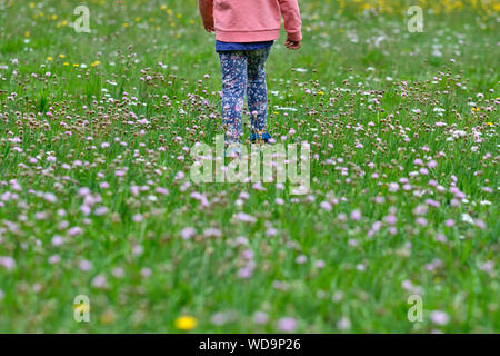 Rückansicht des unteren Abschnitt von einem 3-4 Jahre alten Mädchen in Freizeitkleidung zu Fuß durch einen schönen Sommer Wiese mit vielen Blumen Stockfoto