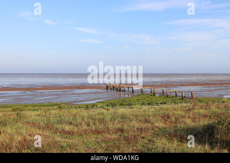 Groyne meer Verteidigung auf einem Erodieren Lyng Strand. Stockfoto