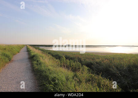 Sonnigen Tag an titchwell Marsh und Strand finden, mit blauer Himmel, breenery, und einen Blick auf den Horizont. Stockfoto