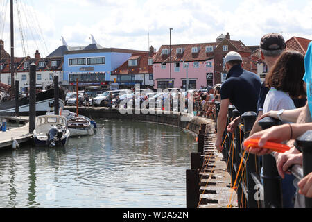 Wells-next-the-Sea Krabben am Hafen an einem sonnigen Tag, North Norfolk, England Stockfoto