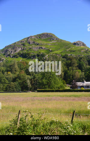 Die Wainwright Helm Crag von easedale in der Nähe von Grasmere im Nationalpark Lake District, Cumbria, England, UK. Stockfoto