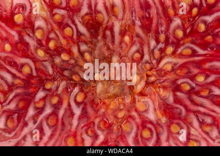 Frisches lila Bild Obst Hintergrund. Reif bild Obst Makro. Stockfoto