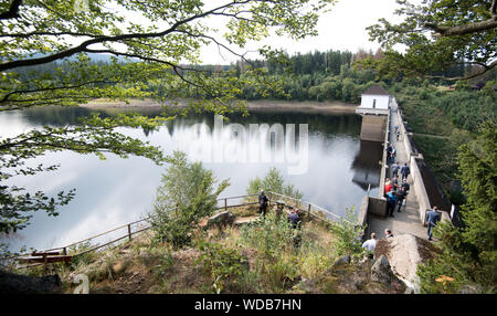 Eckertalsperre, Deutschland. 29 Aug, 2019. Blick auf die Eckertalsperre im Nationalpark Harz, an der Grenze von Niedersachsen und Sachsen-Anhalt. Das Niedersächsische Ministerium für Wissenschaft unterstützt den Klimawandel Projekt "Energie und Wasser Lagerung Harz" in den nächsten drei Jahren mit 1,6 Millionen Euro aus EU-Mitteln. Hintergrund der Forschungsarbeiten ist es, die Auswirkungen von extremen Wettersituationen, wie sie in 2017 und 2018 aufgetreten. Credit: Julian Stratenschulte/dpa/Alamy leben Nachrichten Stockfoto