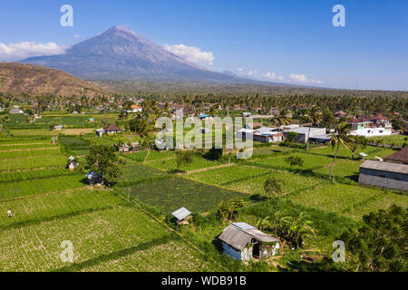 Dramatische Sicht auf den Mt Agung Vulkan steigen über den Reisfeldern im Norden, in der Nähe von Amed, Bali in Indonesien, Südostasien Stockfoto