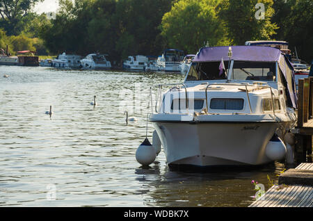 Vergnügen Boote entlang der Themse in Marlow in Buckinghamshire, Großbritannien neben der Thames Path. Stockfoto