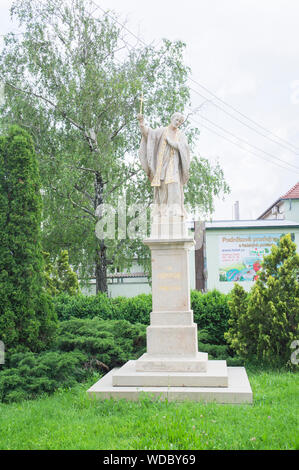 Die Statue des heiligen Franz Xaver, Blatnice pod Svatym Antoninkem, Südmähren, Tschechien, 7. Juni 2019. (CTK Photo/Libor Sojka) Stockfoto